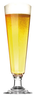 Camp4 Polycarbonate Pilsener/Beer Glass, 440ml, X2