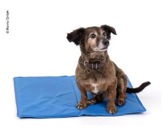 Cooling mat for dogs, 50 x 65 cm