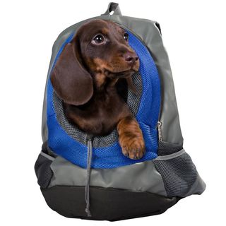 Backpack for Small Dogs
