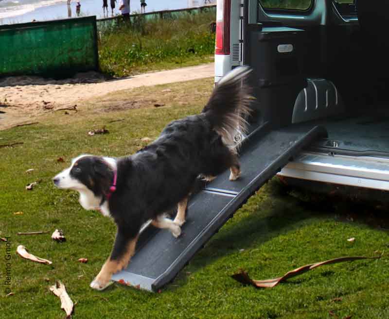 Dog Vehicle Ramp ZORA Black Foldable