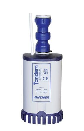 Reich Tandem High Power Twin Submersible Water Pump 12V,  for HYMER vans